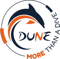 DUNEdemy